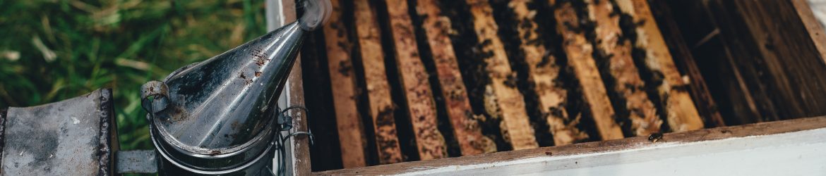 Perth and District Beekeepers Association